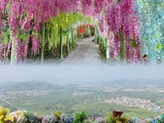 -荔江湾景区
