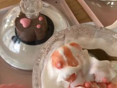 -喵屿·大理花园猫咖