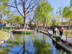 -三里河公园