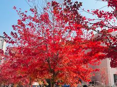 -哈尔滨师范大学(松北校区)