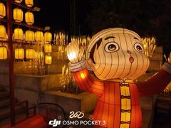 -淄博花灯齐彩城