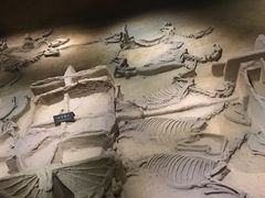 -洛阳周王城天子驾六博物馆