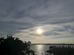 -宝安西湾红树林湿地公园