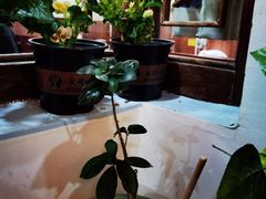 -丽江庭院·云南野生菌·海鲜火锅(鼓楼四合院店)