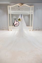 -MuseMarry婚纱(前海嘉里中心店)