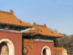 -北陵公园