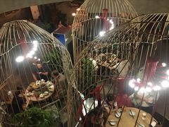 -树厨贵州菜(大十字店)