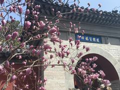 -红螺寺