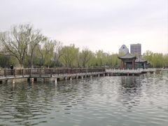 -莲花池公园