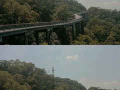 -金鸡山公园