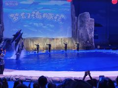 -华夏文旅海洋公园