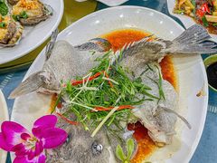 -明记海鲜大排档(巽寮湾店)