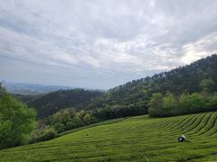 -敬亭山风景名胜区