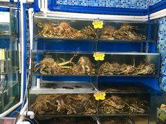 水产区-蚝专家(北滘店)