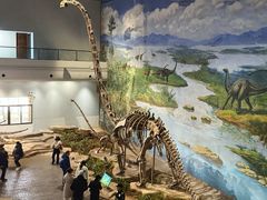 -自贡恐龙博物馆