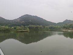 -海驴岛(荣成市)