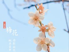 -荔枝公园(福田区)