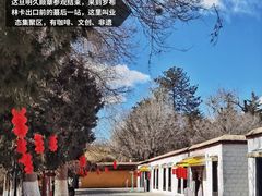 -罗布林卡