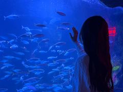 -太平洋海底世界