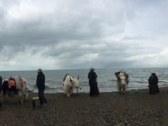 -青海湖国家重点风景名胜区