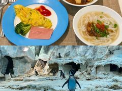 -珠海长隆海洋王国
