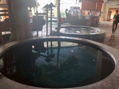 -仁爱团泊湖温泉中心