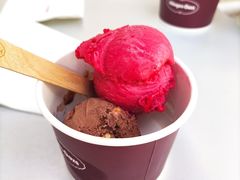 -哈根达斯(深圳海岸城店)