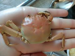 -东方红海鲜百汇(国际大厦店)