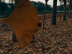 -汉景帝阳陵博物院