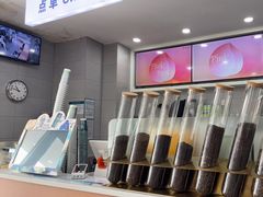 -雾与山茶(大禹城店)