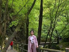 -牛背梁国家森林公园