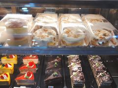 -龙兴·动物奶油生日蛋糕(龙北店)