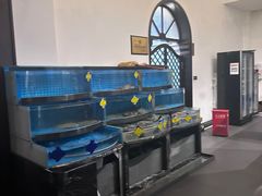 -正德楼果木烤鸭·渔家菜(东港店)