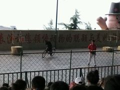 -东方熊牧场
