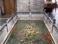 -四季民福烤鸭店(前门店)