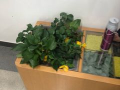 -首都医科大学附属北京潞河医院