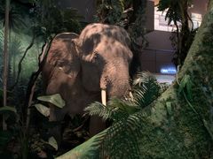 -浙江自然博物院(杭州馆)