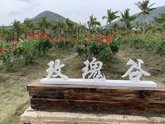 -亚龙湾国际玫瑰谷