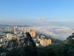-芒洲湿地公园