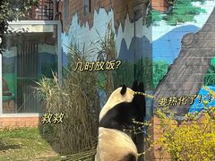 -苏州太湖国家湿地公园