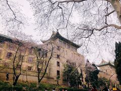 -武汉大学-樱园
