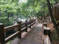 -鲁山国家森林公园