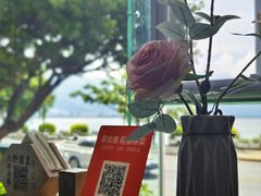-野菌皇海景野生菌火锅(滨海大道店)