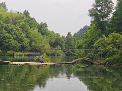 -夏霖九天银瀑风景区