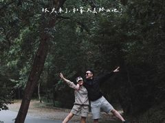 -青龙山国家森林公园