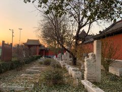 -药王庙(安国市)