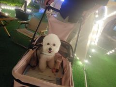 -CAMP.33露营烤肉·团建聚餐(创智天地店)