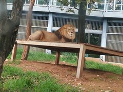 -昆明动物园
