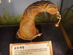 -信不信由你博物馆