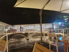 -芭厘农庄老字号·清远鸡